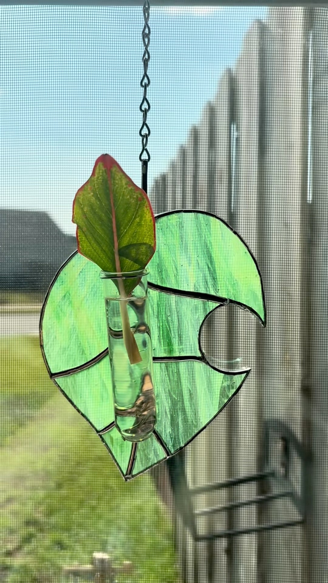 Animal Leaf Plant Propagator
