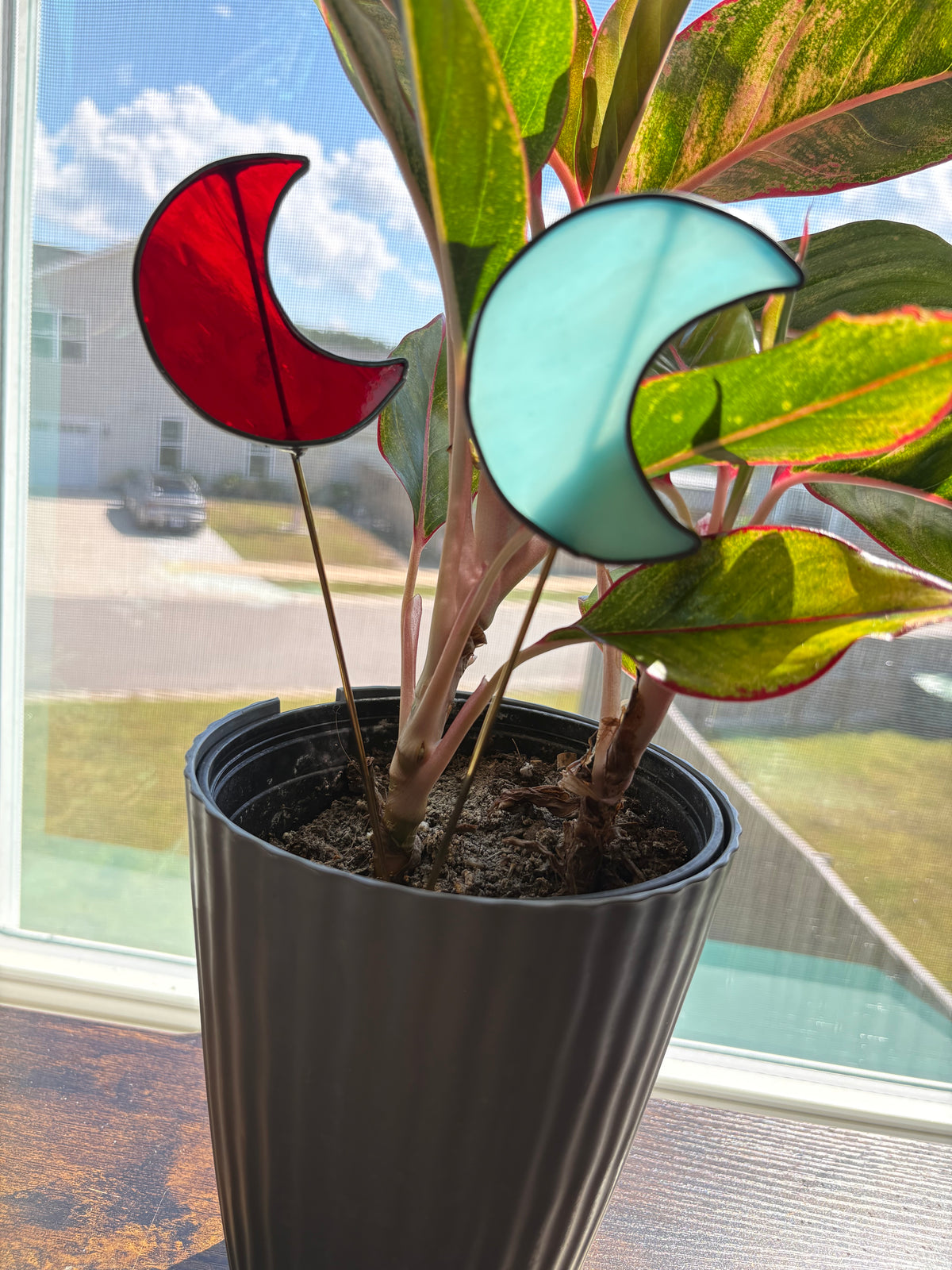 Crescent Moon Plant Stake