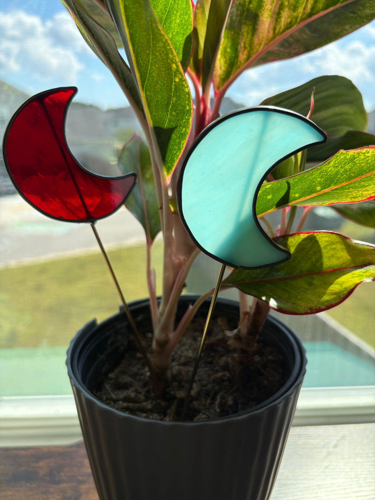 Crescent Moon Plant Stake