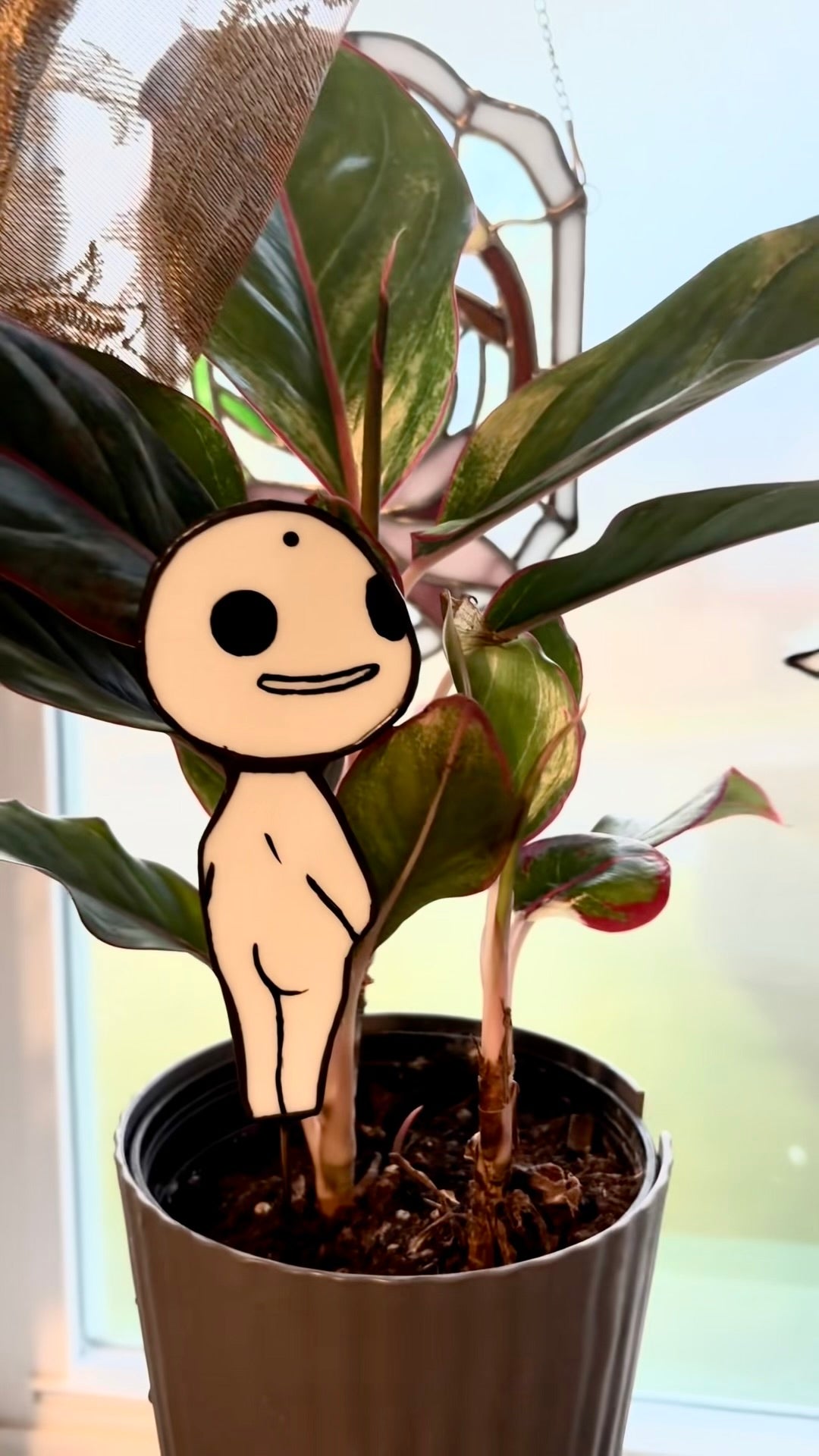 Kodama Plant Stake